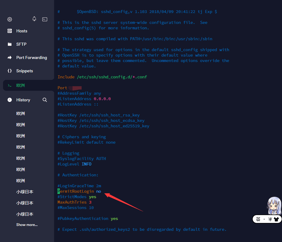 image-20230125133357020